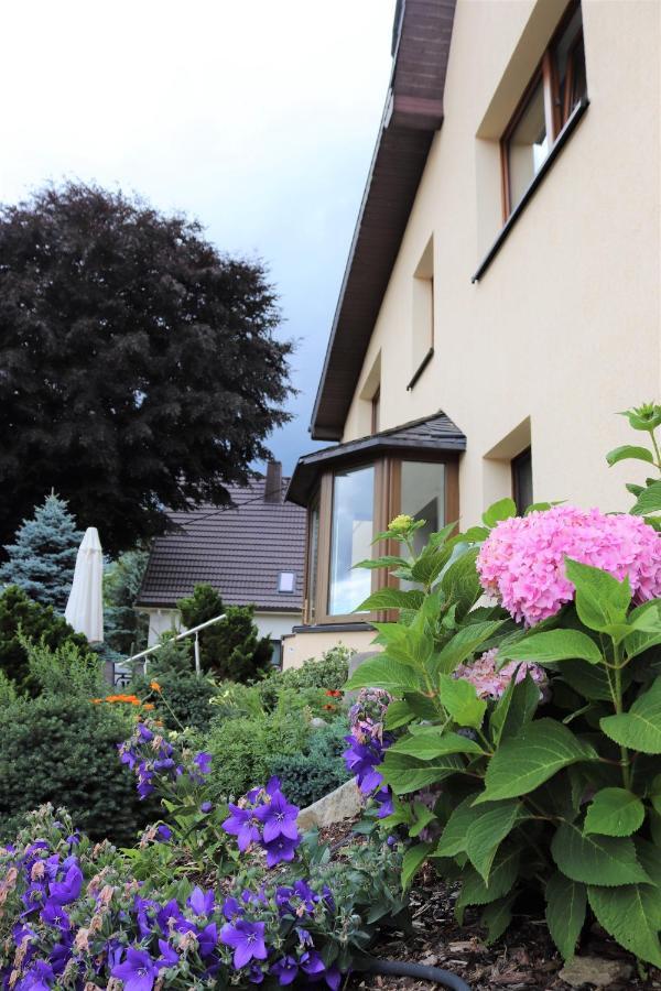 Ferienwohnung Hans Im Glueck Olbernhau Exterior foto